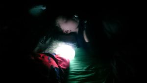Olala, une famille de lapins envahit notre maison toutes les nuits... (+Concours #21)