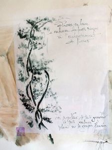 Calligraphies de SWANN autour de Woodstown