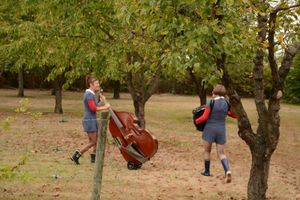 création septembre 2016 duo acoustique déambulatoire