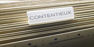 Le Risque Douanier