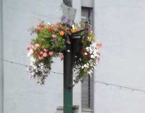 Waterford Ville Propre