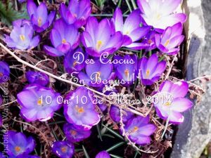 10 on 10 - Mars 2014