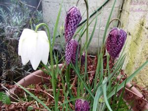 10 on (presque) 10 - avril 2014