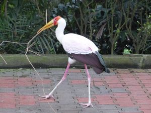 Kuala Lumpur : Des gratte-ciel, une forte chaleur…et une nouvelle culture !