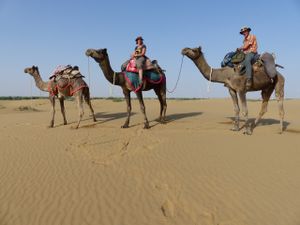 Jaisalmer et Bikaner, aux portes du désert