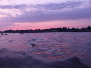 Can Tho : le Delta du Mékong et ses marchés flottants