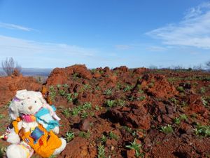De Perth à Karijini : Bienvenue dans l’Outback australien
