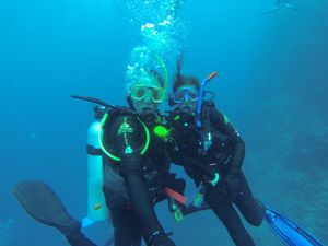 De Cairns aux Whitsundays Islands : Du soleil, des plages …et des moustiques !