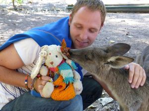 De Sydney à Melbourne : Une faune incroyable, des paysages splendides mais une température assez basse !