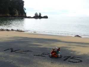 De Kaikoura à Picton : Des animaux marins, du bon vin, de la rando et toujours des paysages incroyables !