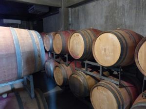 Mendoza et Cordoba : Du vin, du stop impossible et… San Martin !!!