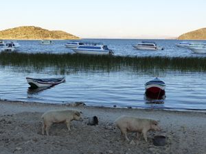 Isla del Sol : Première rencontre avec les Incas sur le lac Titicaca