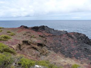 Les Galápagos: Une expérience UNIQUE