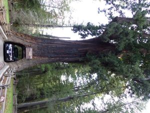 Oregon et Washington : beaucoup de pluie mais des bons moments !!!