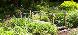 Judith's garden in Jersey,