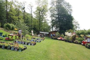 photo de mai 2015, empruntée à Gilles du blog 'Au fil de l'Aisne'