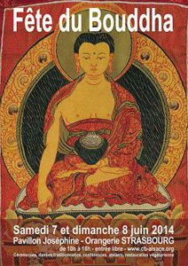 La fête du bouddha - Strasbourg 2014