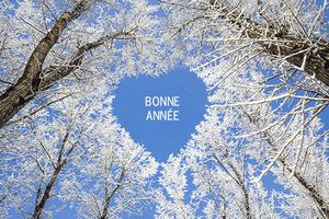 Bonne année 2015