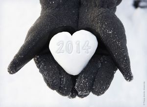2013 est mort, accueillons 2014 avec sérénité…
