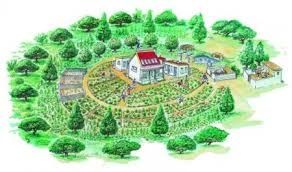 PERMACULTURE & TRANSITION CITOYENNE