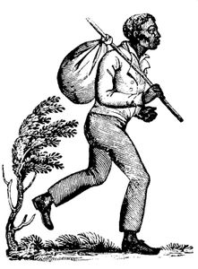 L'Underground Railroad vous connaissez ?