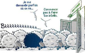 Grippe aviaire : un nouveau virus le FN 13/12