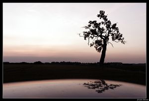 21 juillet 2016 20:03