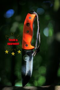 Le ESEE 5, épisode 2.