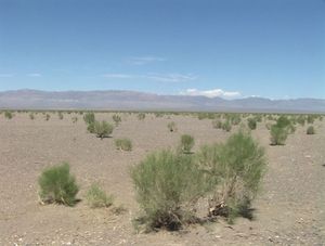Gobi (Wikipedia Commons)