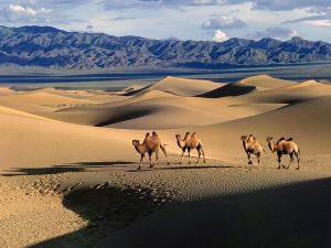 Entre Tien Shen et Altaï