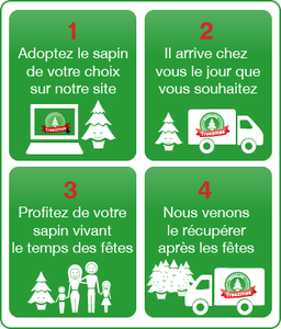 Vu chez les autres #47 : louer un sapin de Noël!