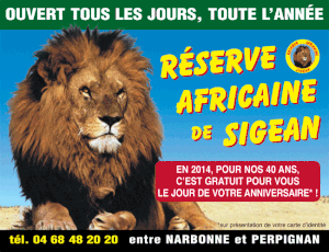 Mon mini-safari à la Réserve de Sigean!
