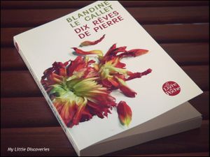 "Dix rêves de pierre", de Blandine Le Callet: quand de vraies épitaphes deviennent des récits passionnants!