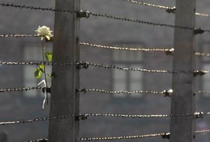 *CREER Y REVENTAR(Primera parte).Colaboración desde Argentina-Por María Cristina Oleaga