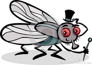 visez la mouche !!