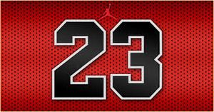 23