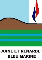 Conseil Communautaire : LA POLITIQUE DE L'AUTRUCHE!