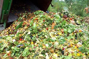 2014 contro lo spreco alimentare, anche a Cuggiono.