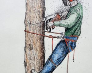 Lavori al Parco Annoni.