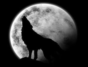Les loups-garou