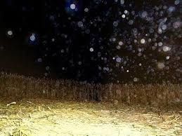 Les orbes