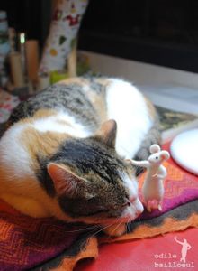 Dimanche pluvieux...