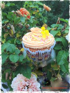 CUPCAKES ABRICOT TOPPING CHANTILLY ABRICOT