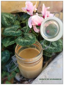 PANNA COTTA SPECULOS