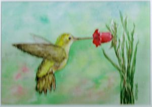 La part du Colibri