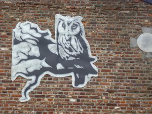 Visite de la distillerie The Belgian Owl