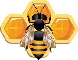 Faire enlever un nid d'abeille gratuitement