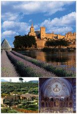 Devenez un visiteur privilégié de la région Provence Alpes Côte d'Azur