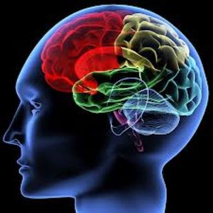 Arrondissez vos fins de mois en participant à une étude scientifique rémunérée