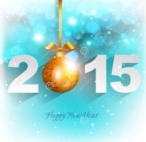 Bonne Année 2015 !